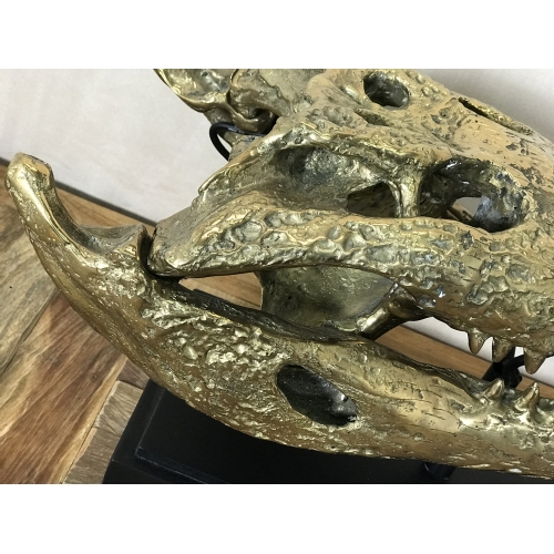Tête de crocodile en bronze sur socle