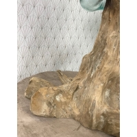 Aquarium ou vase bois floté S