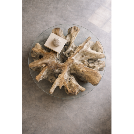 Table basse racine naturelle — autre vue